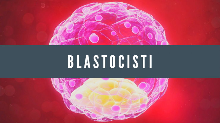 Cos’è la Blastocisti